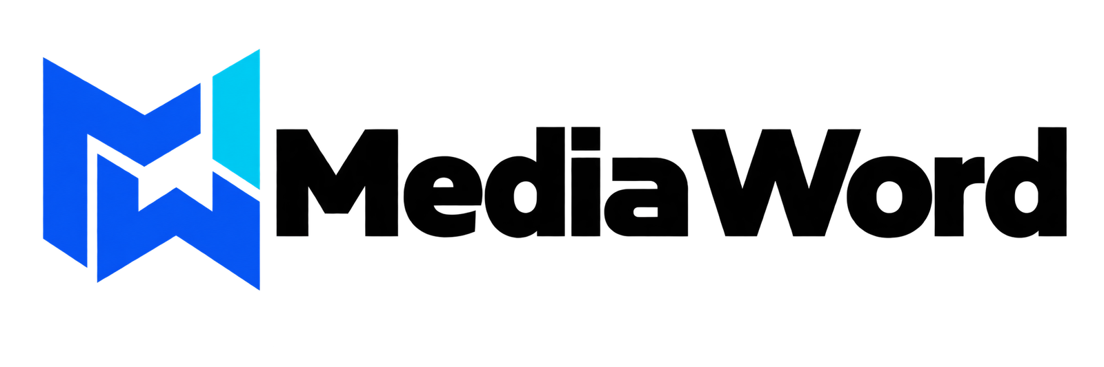 themediaword.com